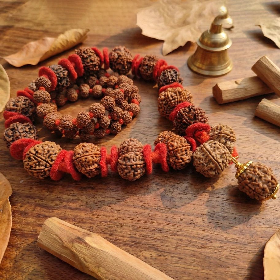 1 se 14 Mukhi Rudraksh Siddh Mala - Aditya Kundali