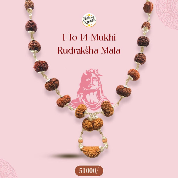 1 to 14 Mukhi Rudraksh Maala Aditya Kundli - Aditya Kundali