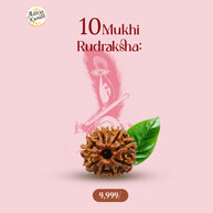 10 Mukhi Rudraksha by Aditya Kundli