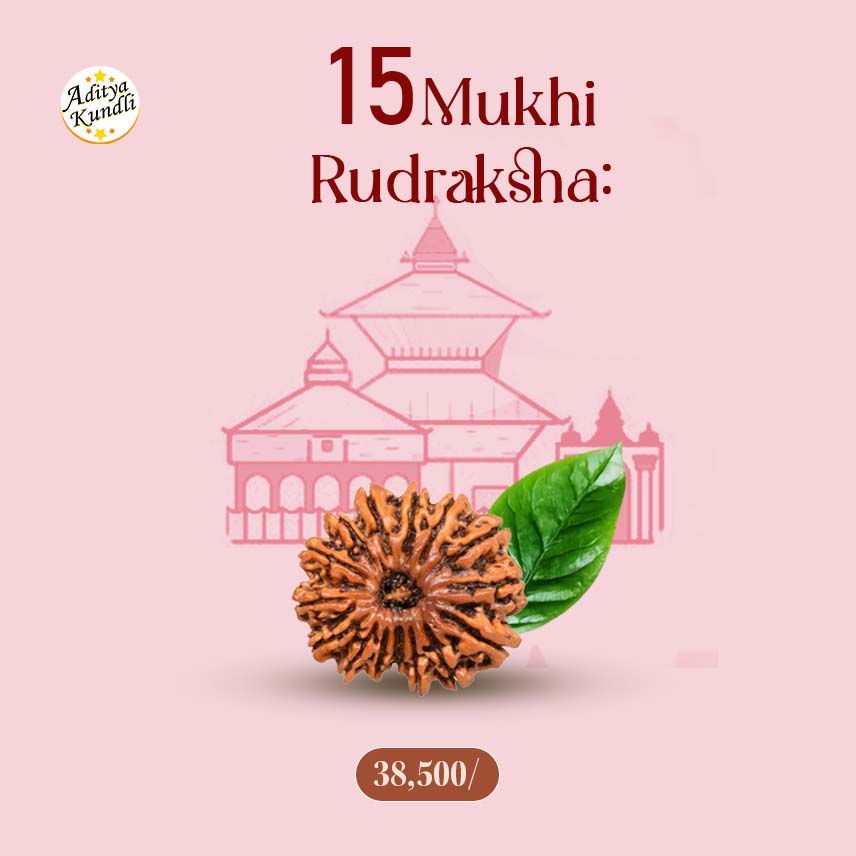 15 Mukhi Rudraksha by Aditya Kundli - Aditya Kundali