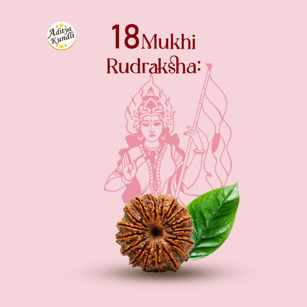 18 Mukhi Rudraksha by Aditya Kundli - Aditya Kundali