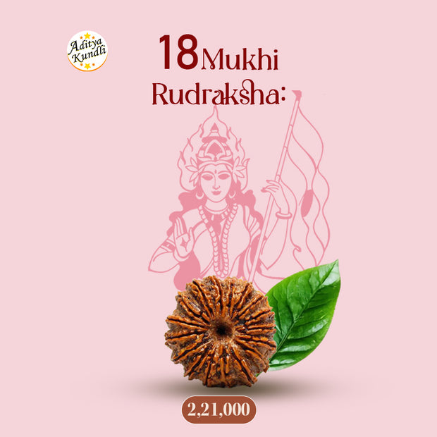 18 Mukhi Rudraksha by Aditya Kundli