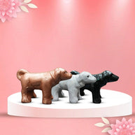 3 Dogs For Removing Shani Negativity - Aditya Kundali