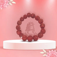 6 Mukhi Rudraksha Bracelet