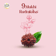 9 Mukhi Rudraksha by Aditya Kundli