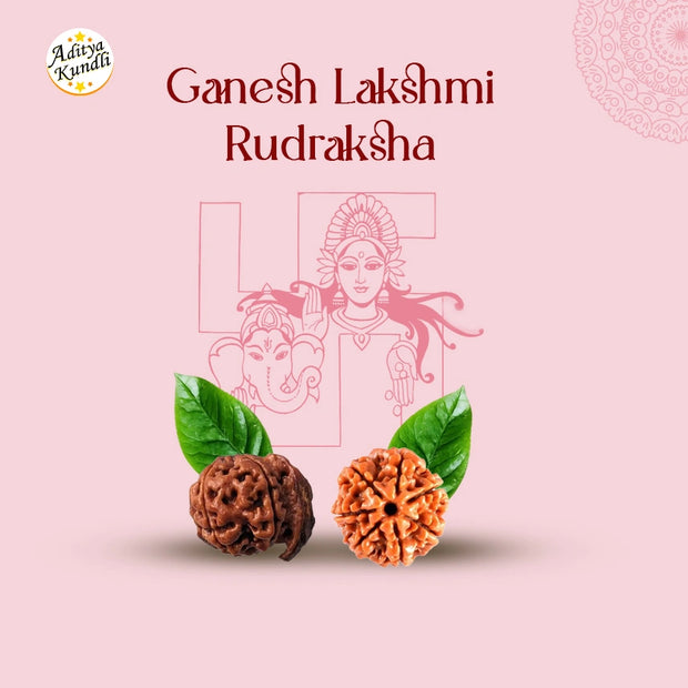 Ganesh Laxmi Rudraksha by Aditya Kundli