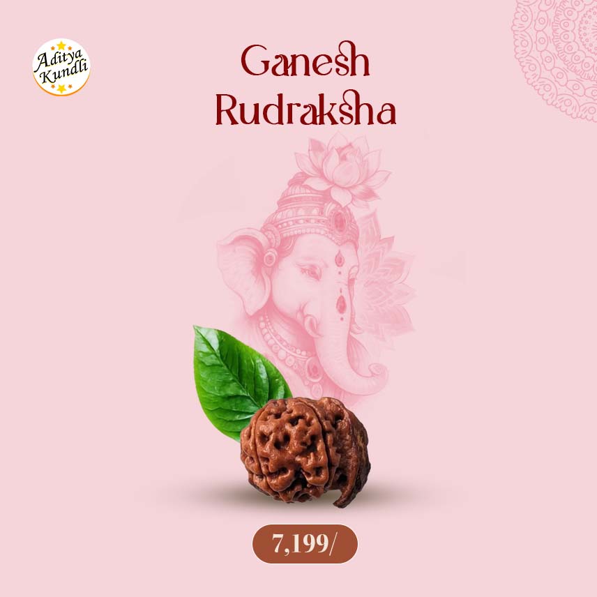 Ganesh Rudraksha by Aditya Kundli