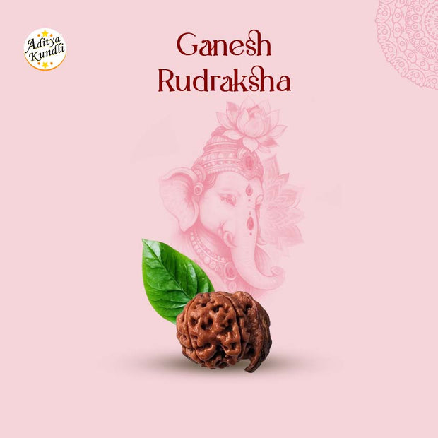 Ganesh Rudraksha by Aditya Kundli