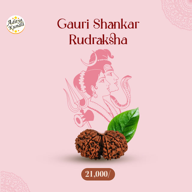 Gauri Shankar Rudraksha by Aditya Kundli