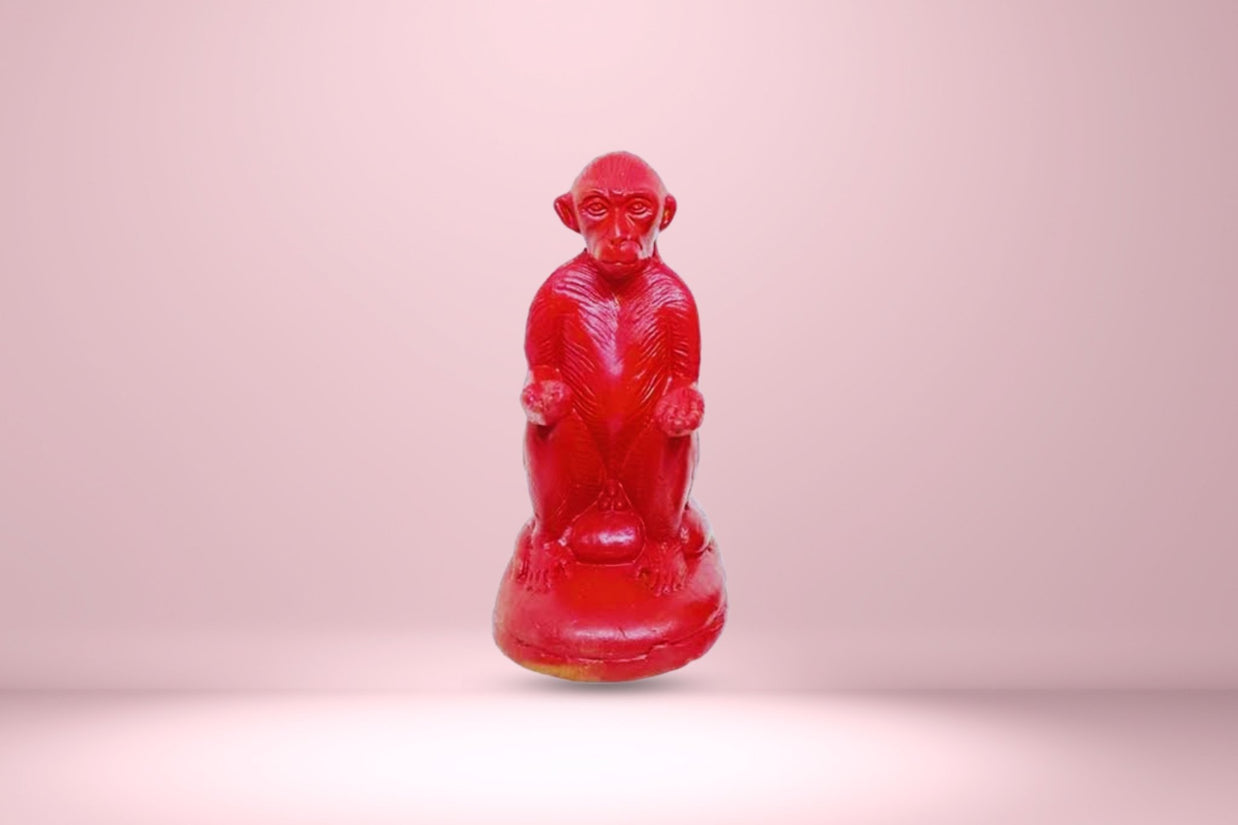 Abhimantrit Red Monkey - Aditya Kundali