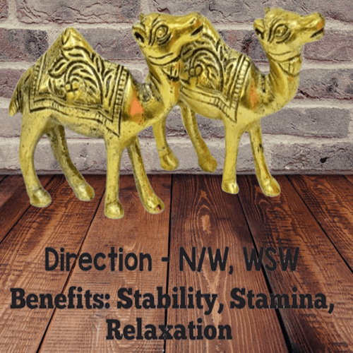 Brass Camel Standing Camel Statue - Aditya Kundali