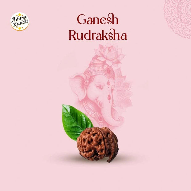 Ganesh Rudraksha by Aditya Kundli - Aditya Kundali