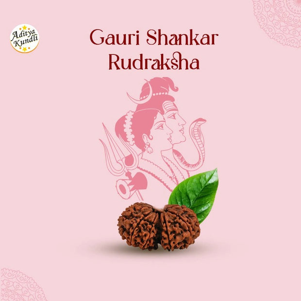 Gauri Shankar Rudraksha by Aditya Kundli