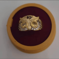 Owl Eye Ring - Aditya Kundali