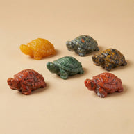 Pyrite Colorful Tortoise [1 Pc] - Aditya Kundali