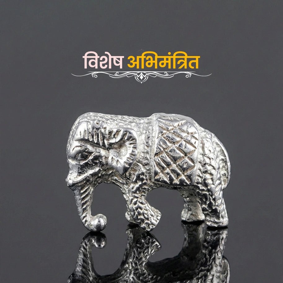 Silver Small Elephant - Aditya Kundali