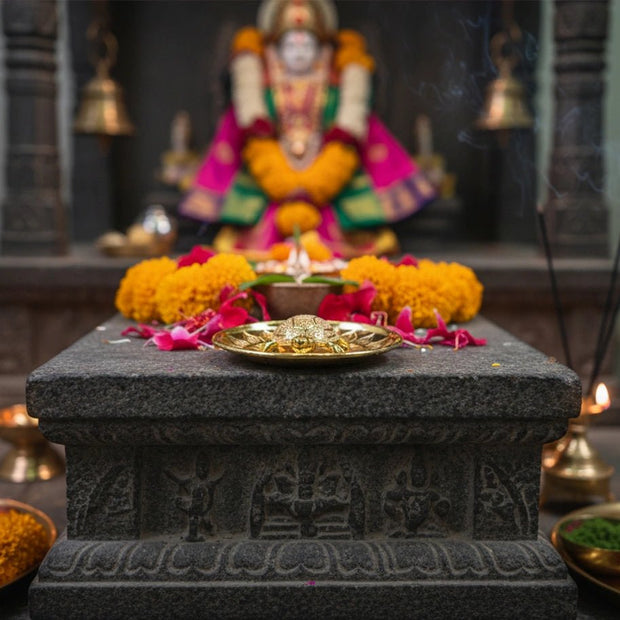 Turtle With Plate - Aditya Kundali